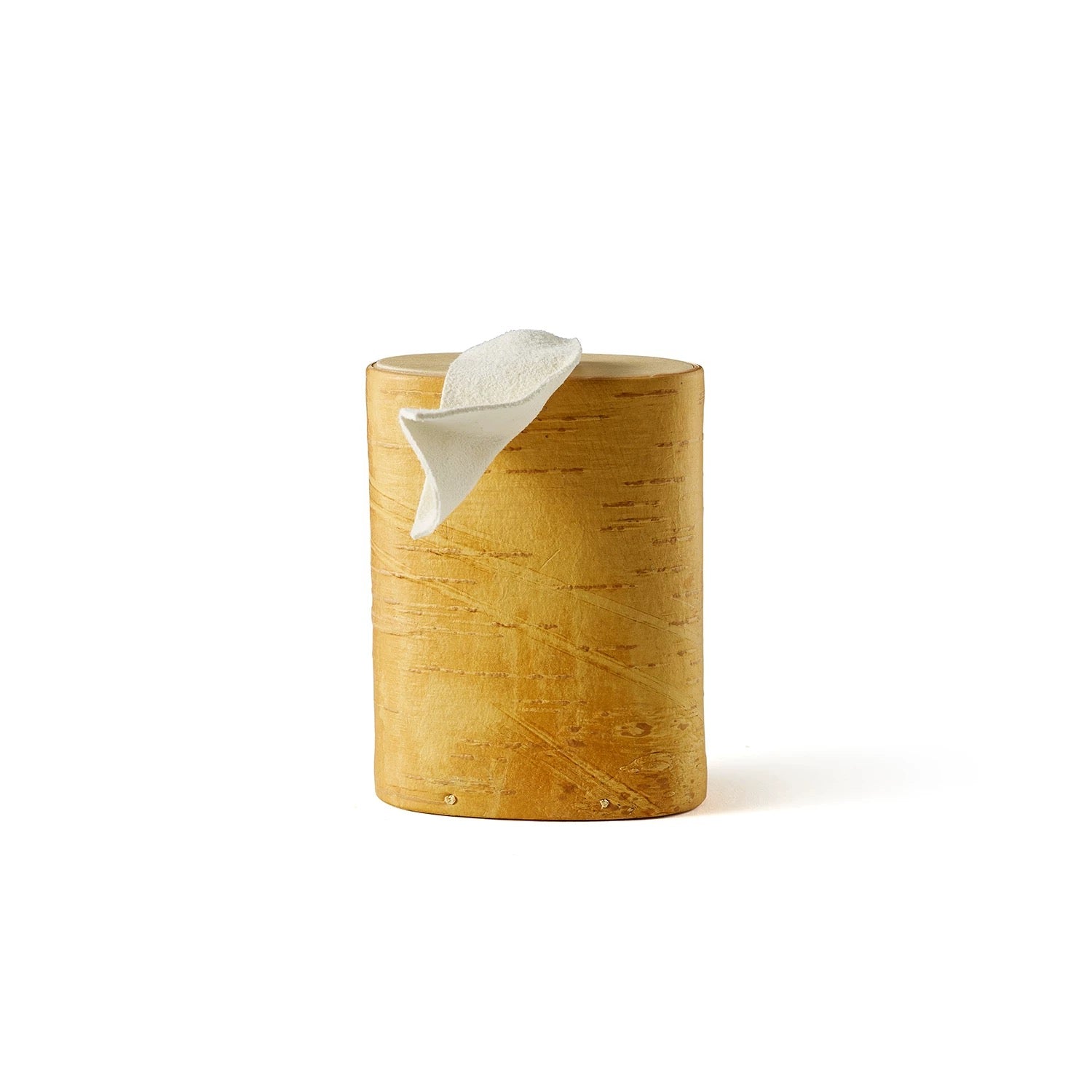 Birthmark｜Birch Bark Bangke
