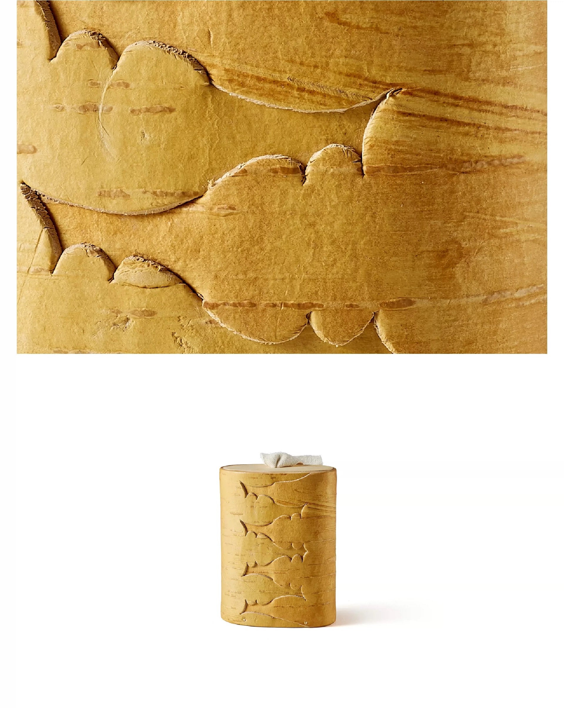 Birthmark｜Birch Bark Bangke