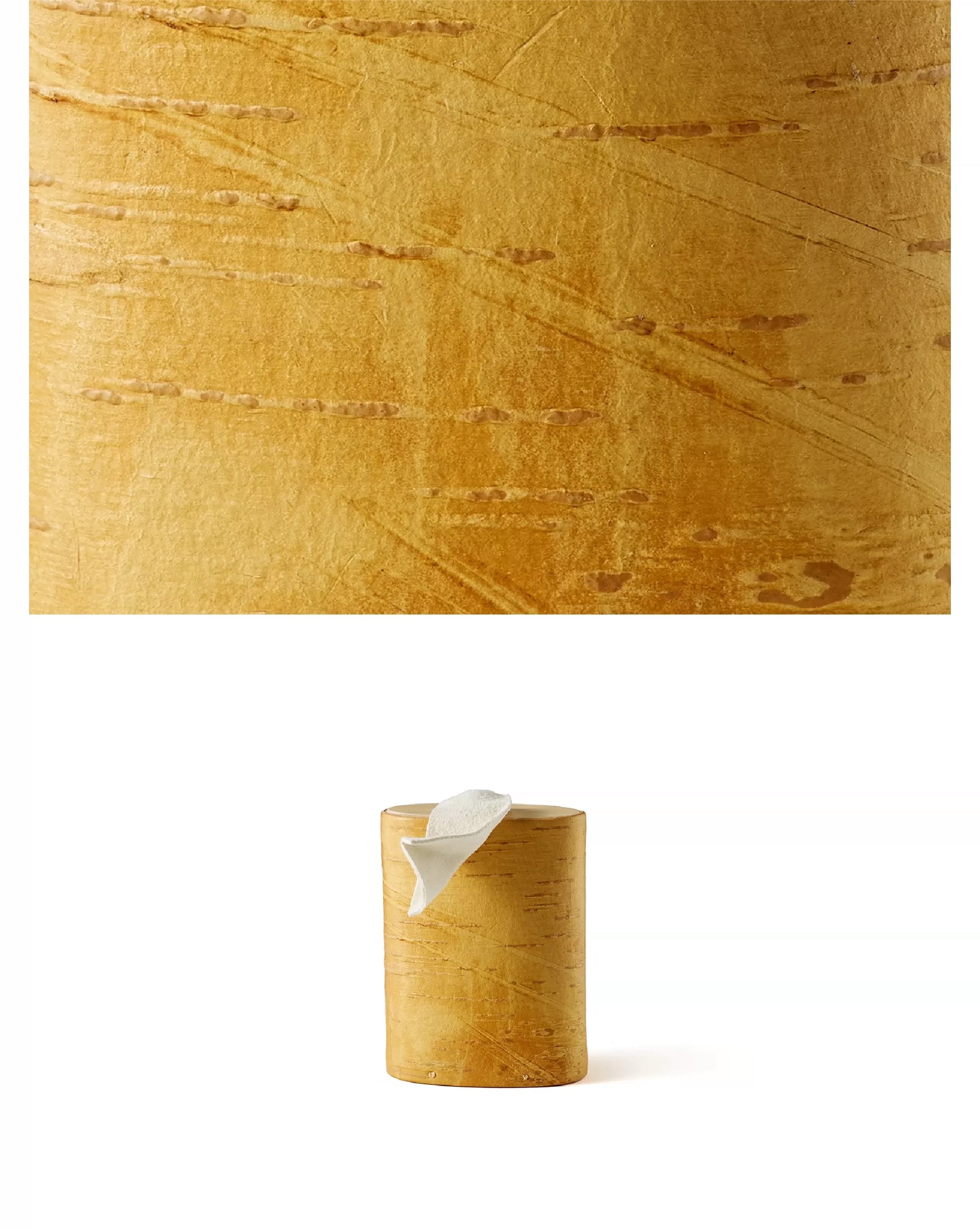 Birthmark｜Birch Bark Bangke